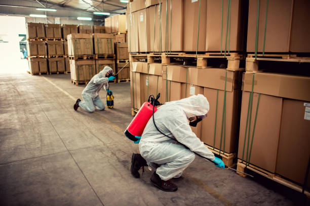 Best Pest Control Treatment  in Corona, CA